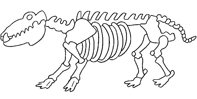 dog skeleton