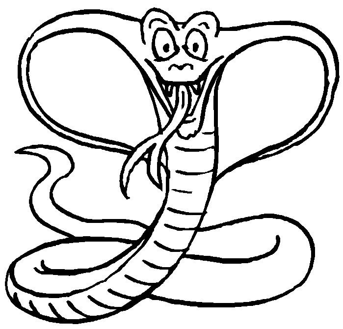 cobra