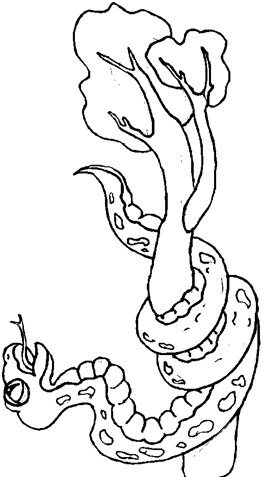 snake in a tree