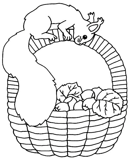 basket of nuts with squirrel
