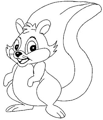 coloring picture squirrel