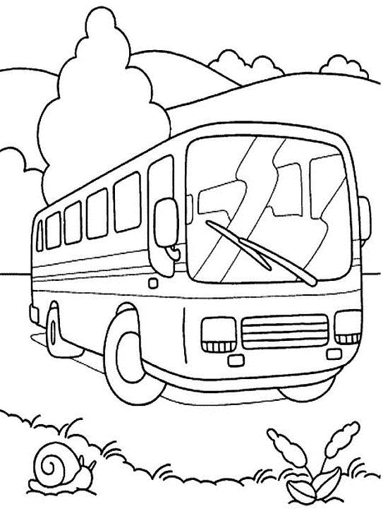 bus