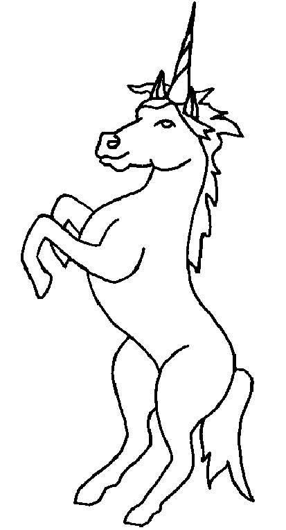 unicorn on camber