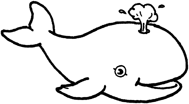 whale