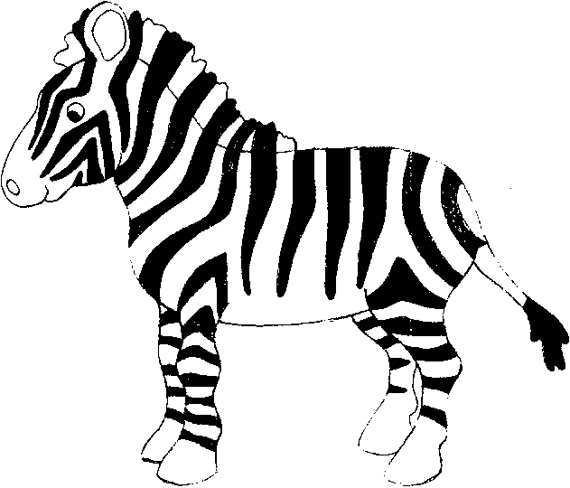 single zebra