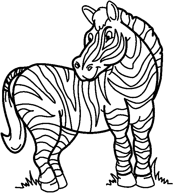 Coloring zebra stripes ready to be colored picture